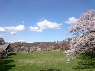 春のアルプス公園